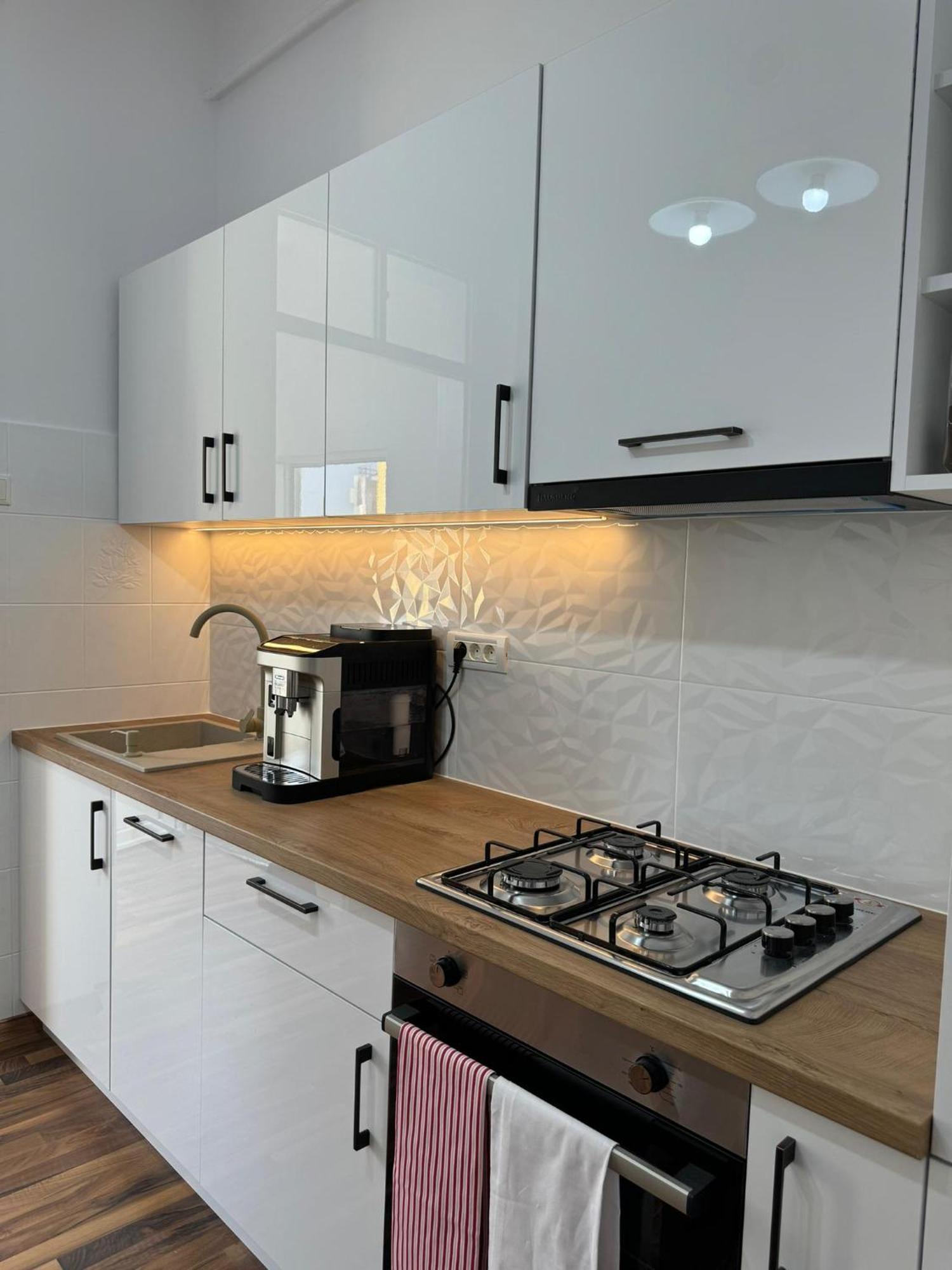 Apartament Victoria Timişoara Extérieur photo