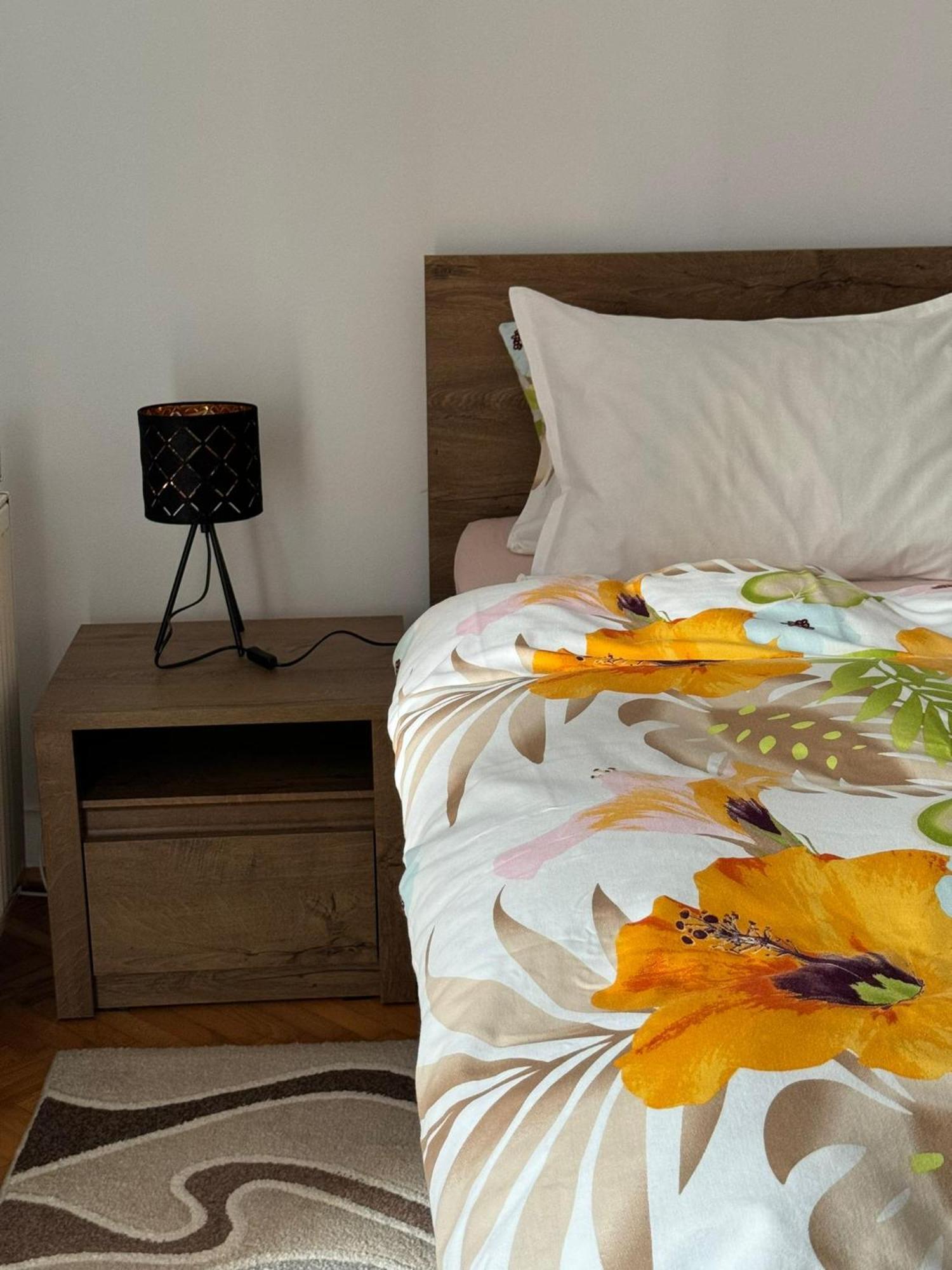 Apartament Victoria Timişoara Extérieur photo