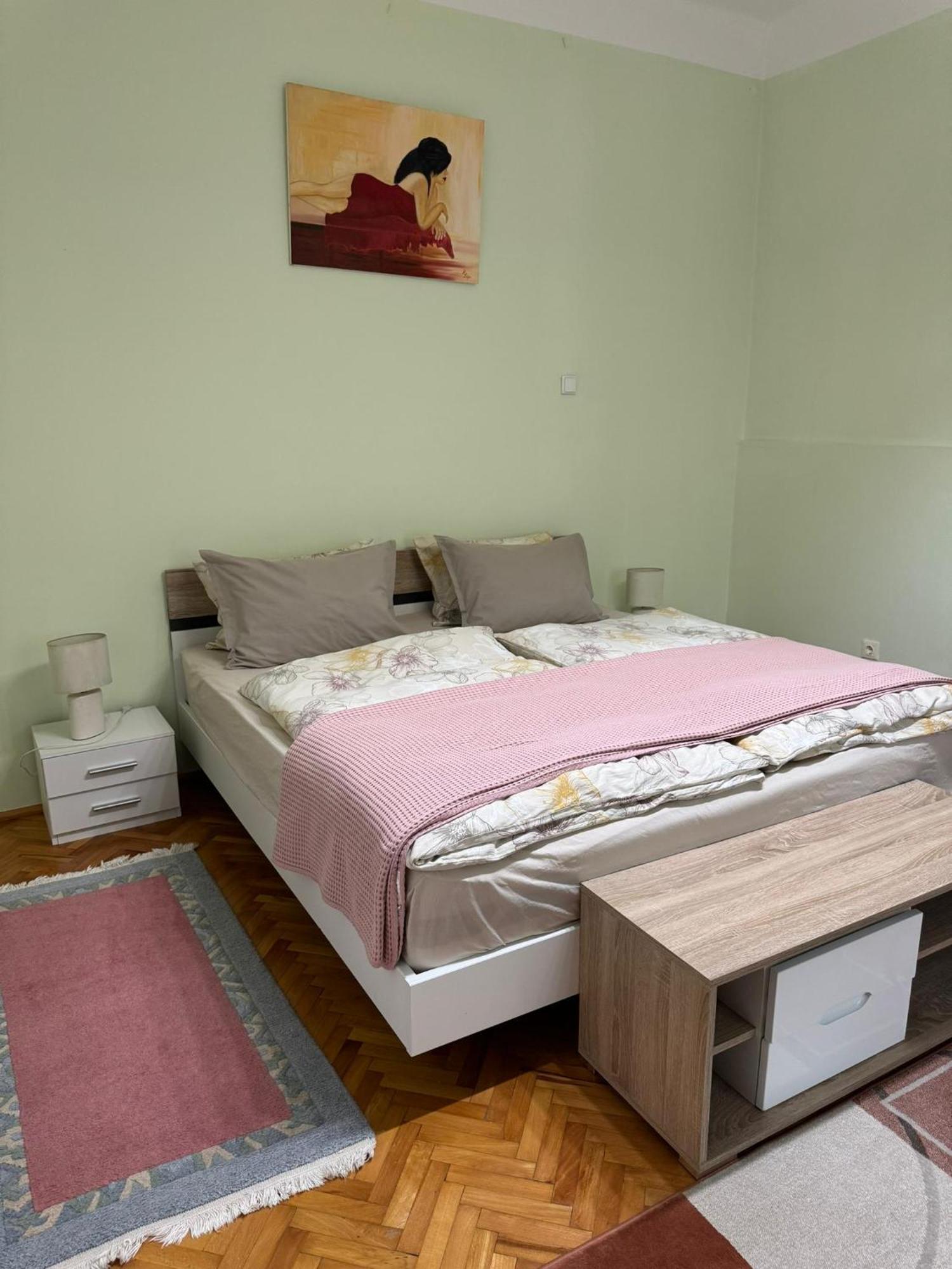 Apartament Victoria Timişoara Extérieur photo