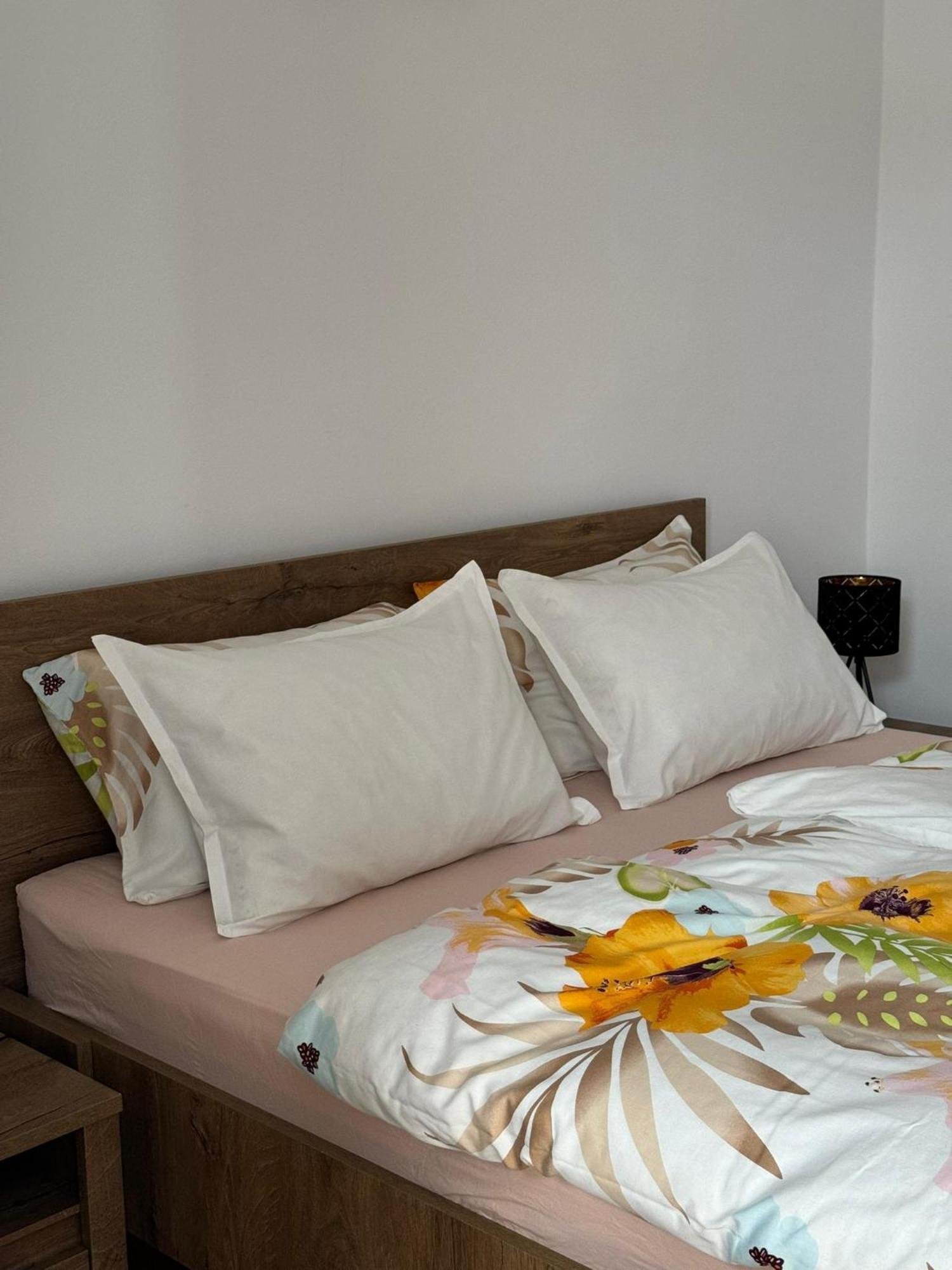 Apartament Victoria Timişoara Extérieur photo