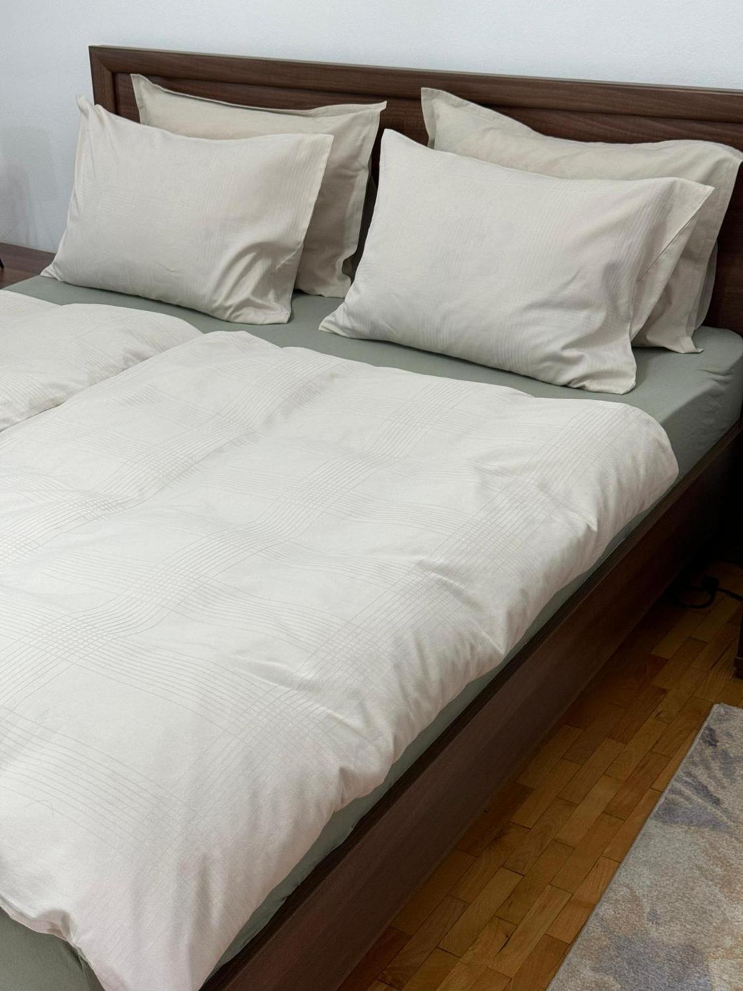 Apartament Victoria Timişoara Extérieur photo